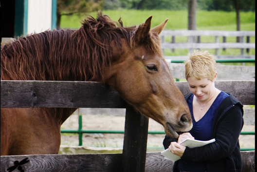 animal-communication-with-horse