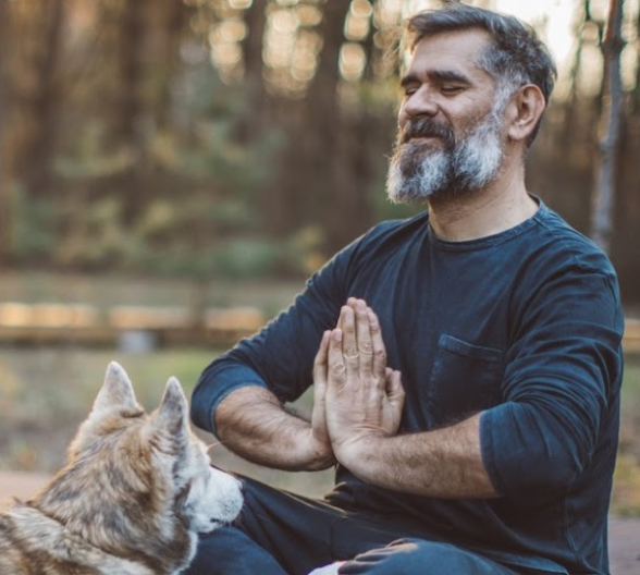 animal-meditation-and-healiing