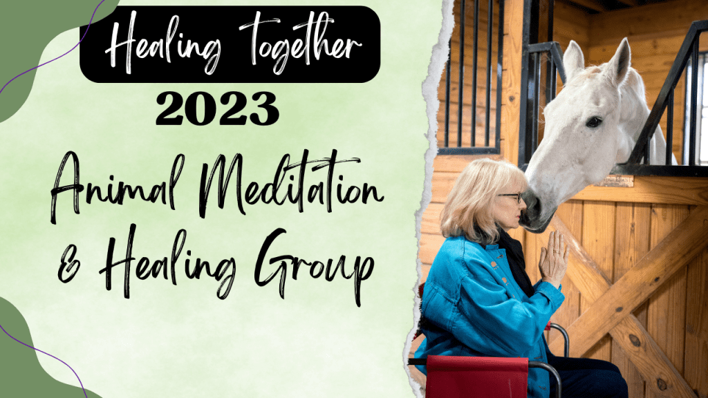 animal-meditation-healing-group